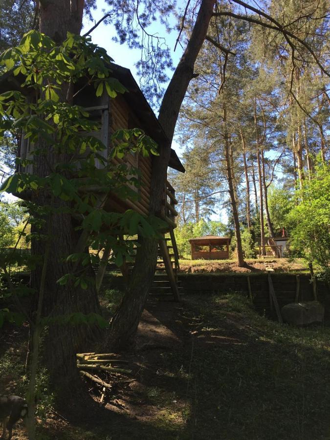 Domek Z Bali Tryszczyn Nad Brda ภายนอก รูปภาพ